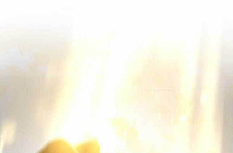 Mình Tao Là Siêu Việt Giả Mạnh Nhất! Chapter 25 trang 211