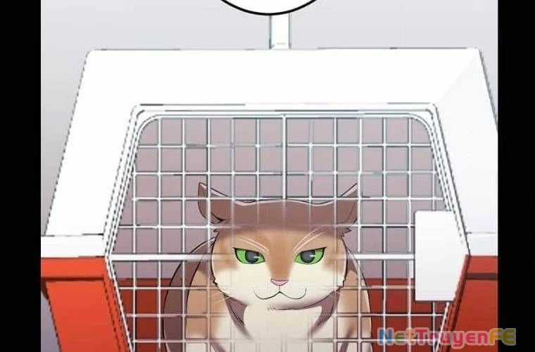 Mình Tao Là Siêu Việt Giả Mạnh Nhất! Chapter 27 trang 146