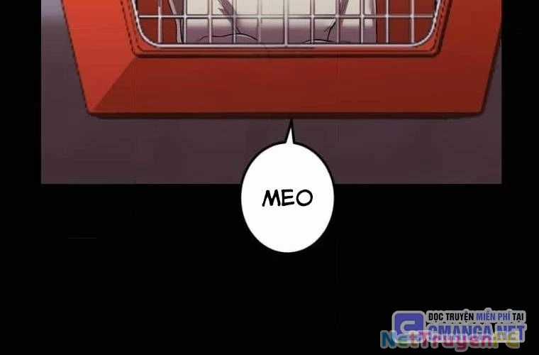 Mình Tao Là Siêu Việt Giả Mạnh Nhất! Chapter 27 trang 147