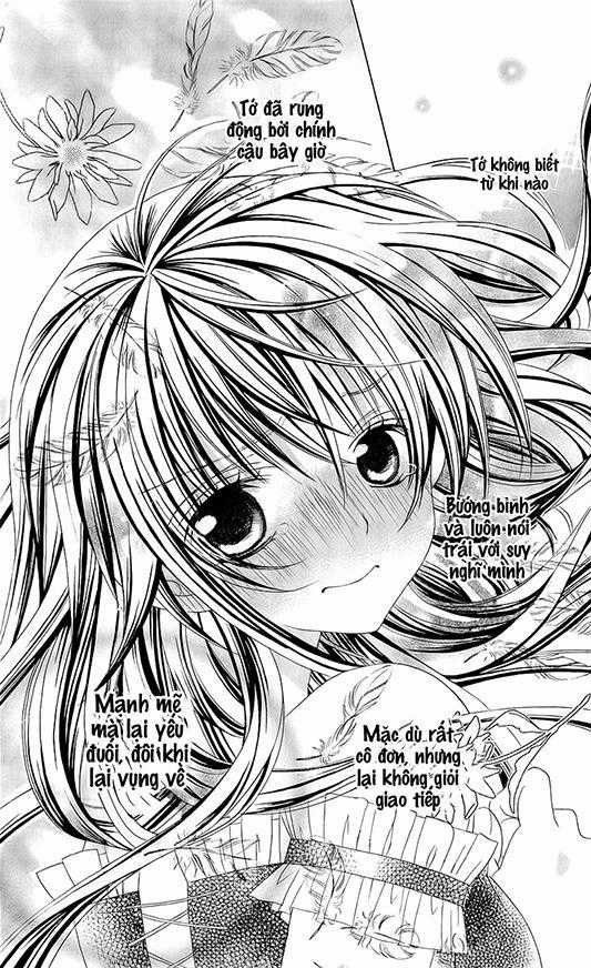 Mình Thích Cậu Đó, Suzuki Chapter 57 trang 14