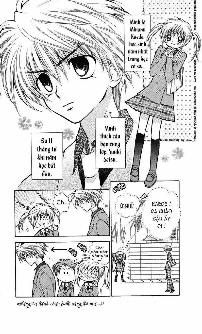 Mirumo De Pon! Chapter 1 trang 5
