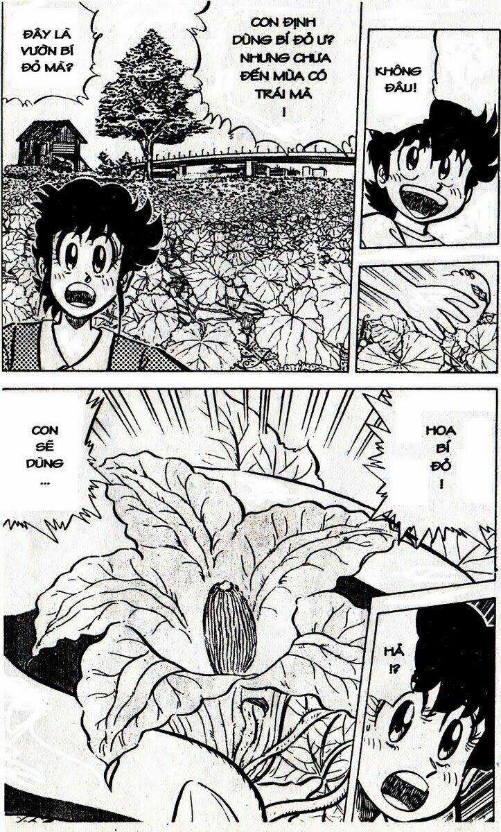 Mister Ajikko (Siêu Đầu Bếp Tí Hon) Chapter 51 trang 11