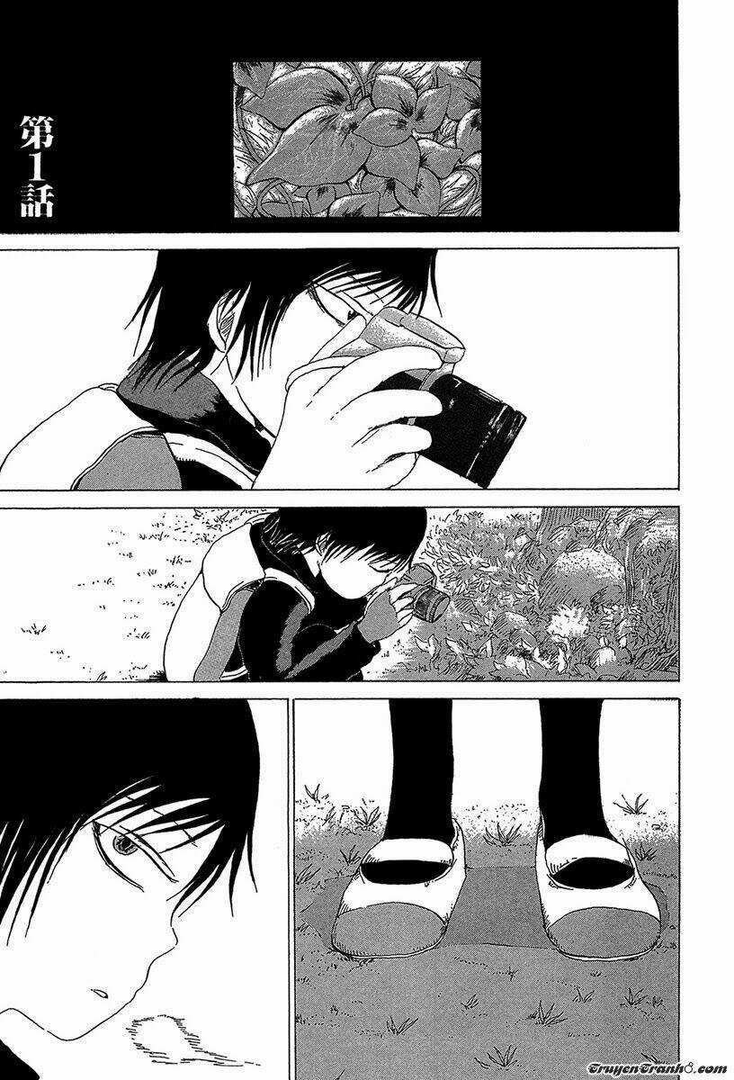 Misu Misou Chapter 1 trang 5