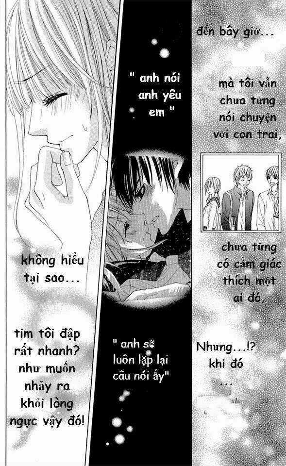 Mitsukoi Honey Chapter 4 trang 5