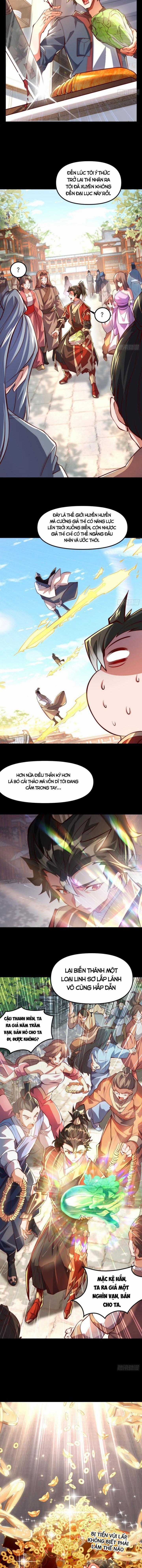 Mở Màn Cống Lên Thái Cổ Tiên Dược, Ta Khiến Thánh Chủ Sợ Chết Khiếp Chapter 1 trang 8