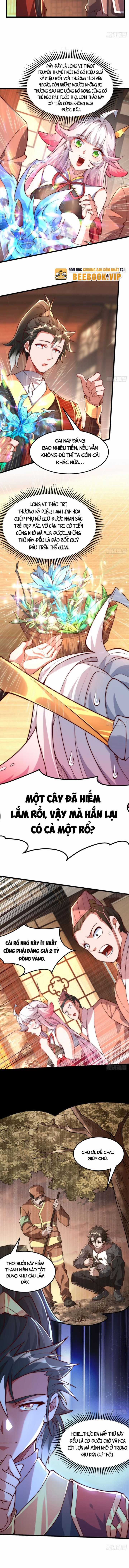 Mở Màn Cống Lên Thái Cổ Tiên Dược, Ta Khiến Thánh Chủ Sợ Chết Khiếp Chapter 2 trang 5