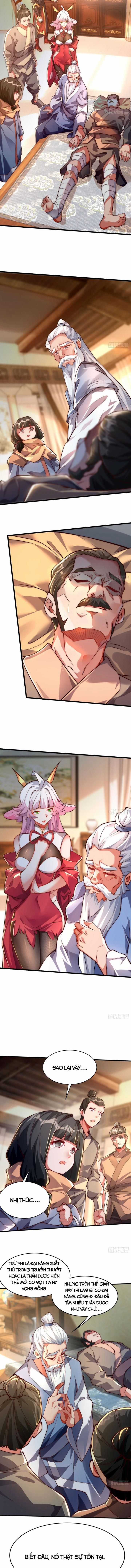 Mở Màn Cống Lên Thái Cổ Tiên Dược, Ta Khiến Thánh Chủ Sợ Chết Khiếp Chapter 7 trang 2