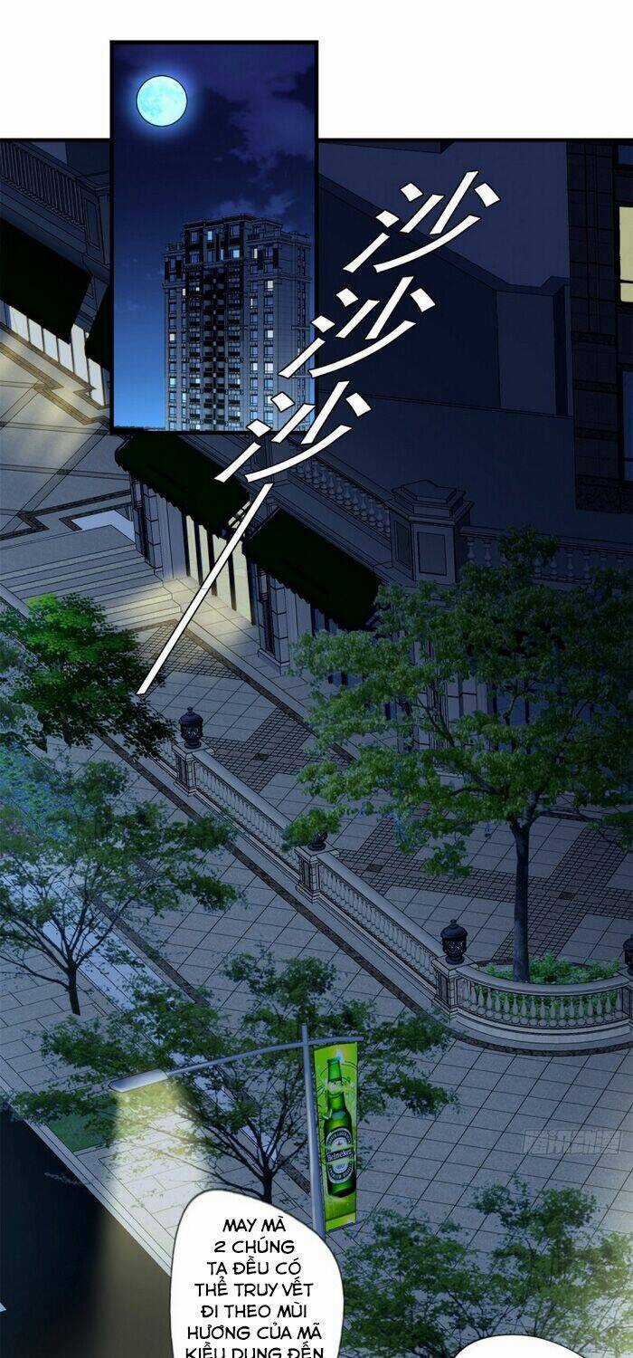 Mở Phòng Khám Tại Tu Tiên Giới Chapter 72 trang 0