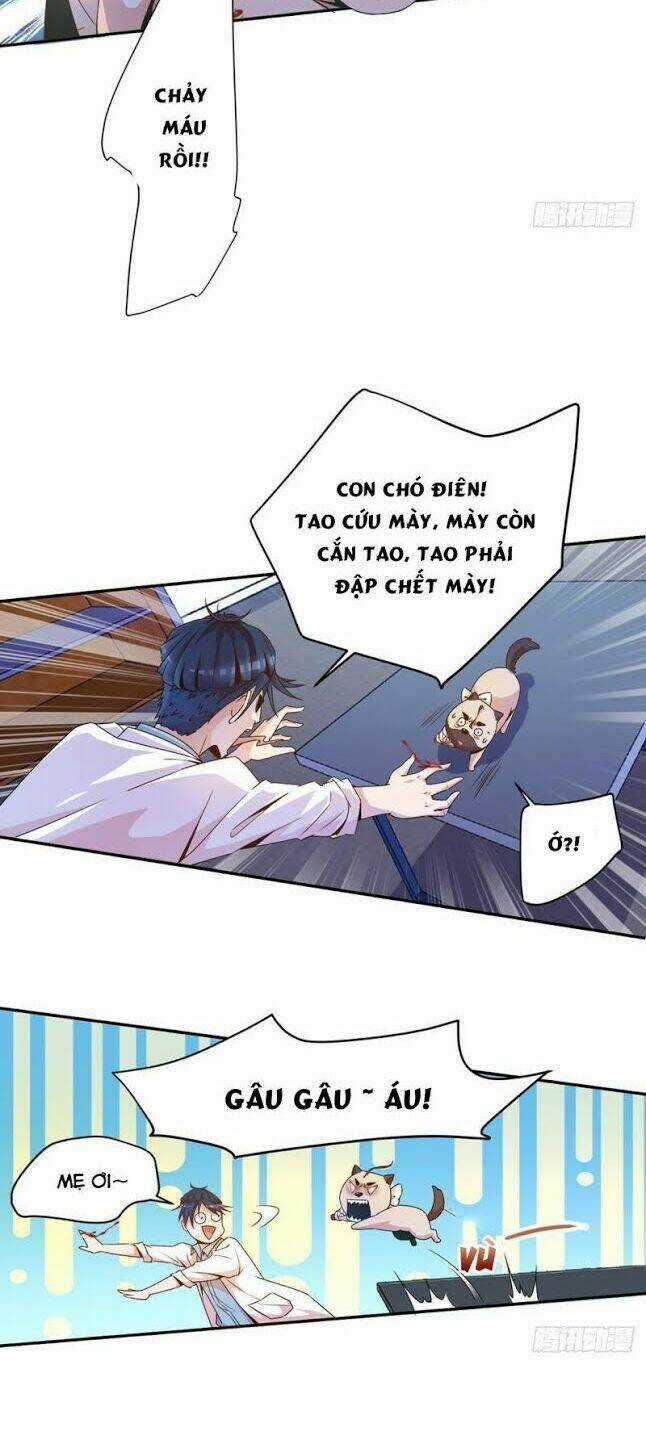 Mở Phòng Khám Tu Tiên Chapter 2 trang 11