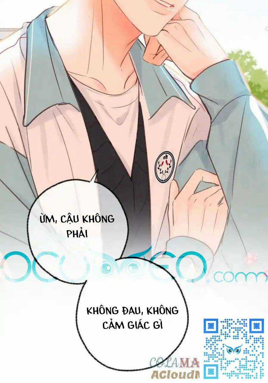 Mơ Về Em Chapter 33 trang 28