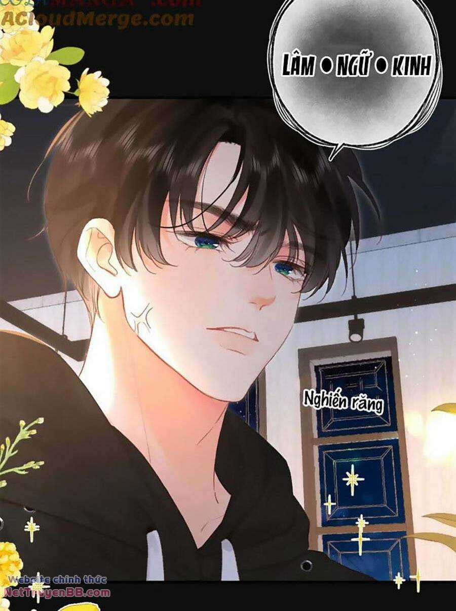 Mơ Về Em Chapter 38 trang 3