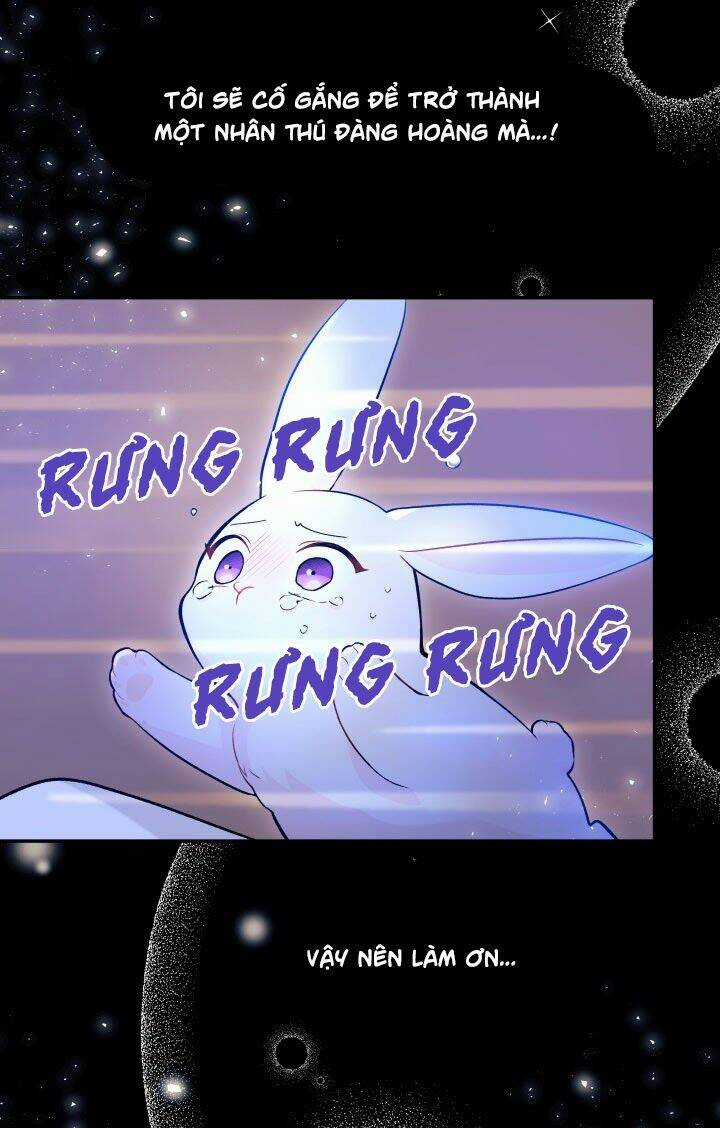 Mối Liên Kết Giữa Báo Đen Và Bé Thỏ Chapter 1 trang 20