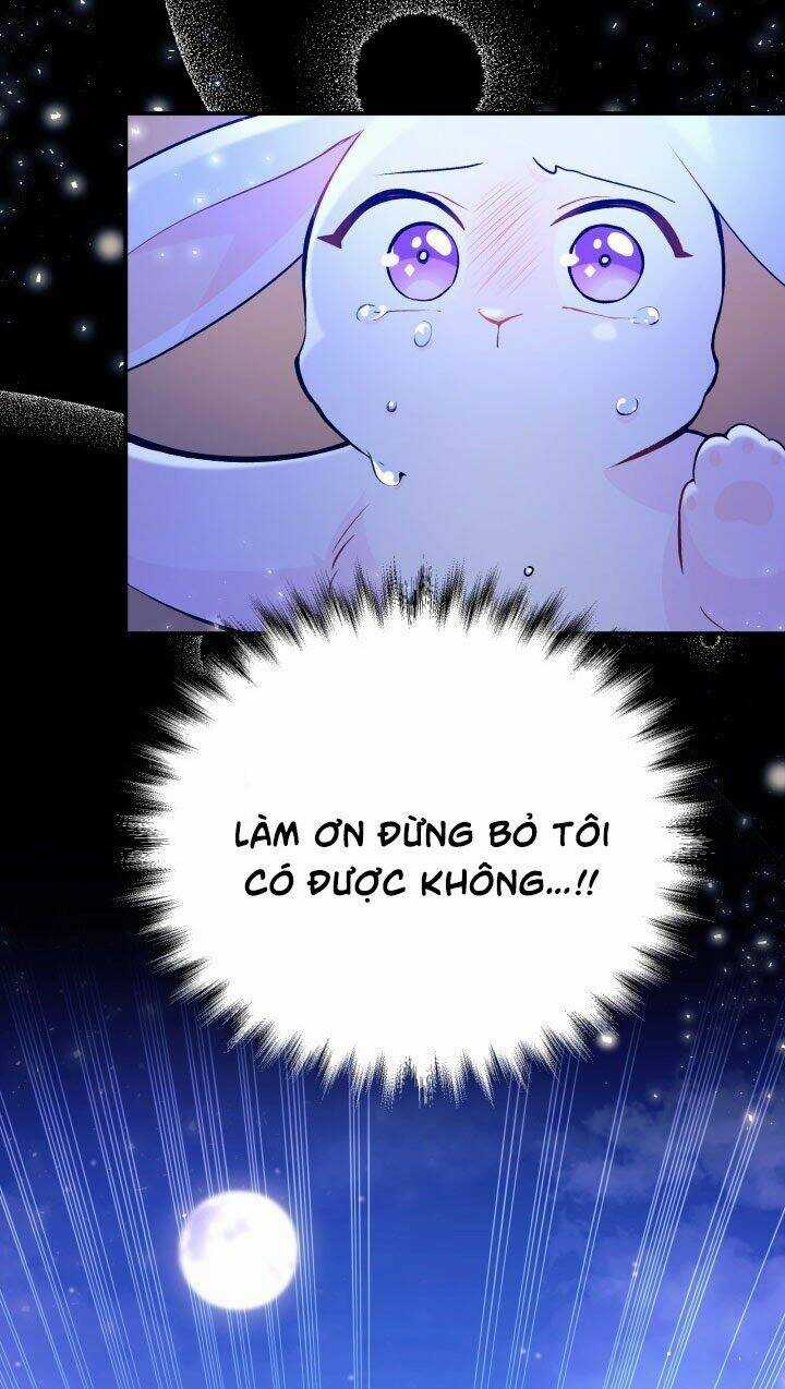 Mối Liên Kết Giữa Báo Đen Và Bé Thỏ Chapter 1 trang 21