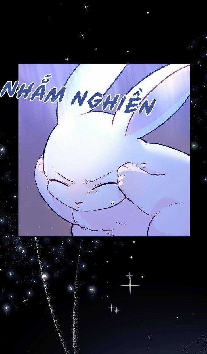 Mối Liên Kết Giữa Báo Đen Và Bé Thỏ Chapter 1 trang 27