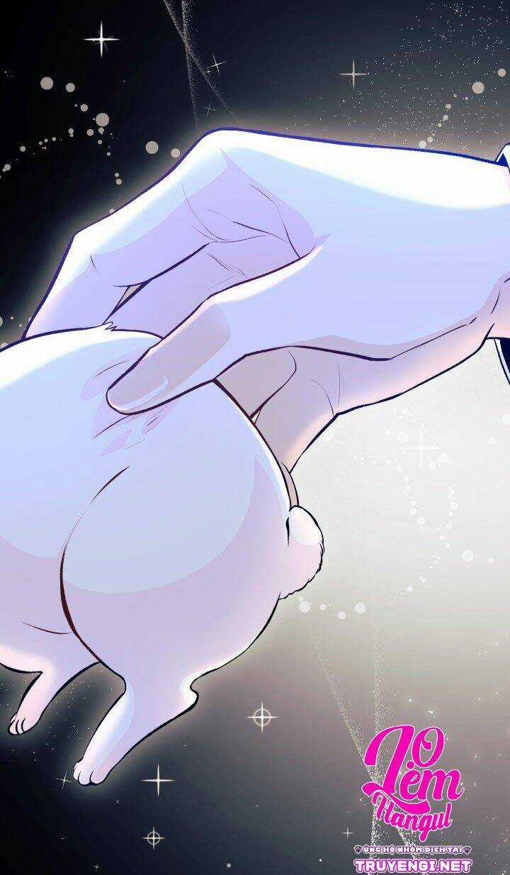 Mối Liên Kết Giữa Báo Đen Và Bé Thỏ Chapter 1 trang 28