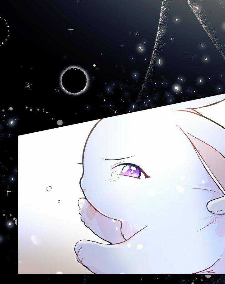 Mối Liên Kết Giữa Báo Đen Và Bé Thỏ Chapter 1 trang 29