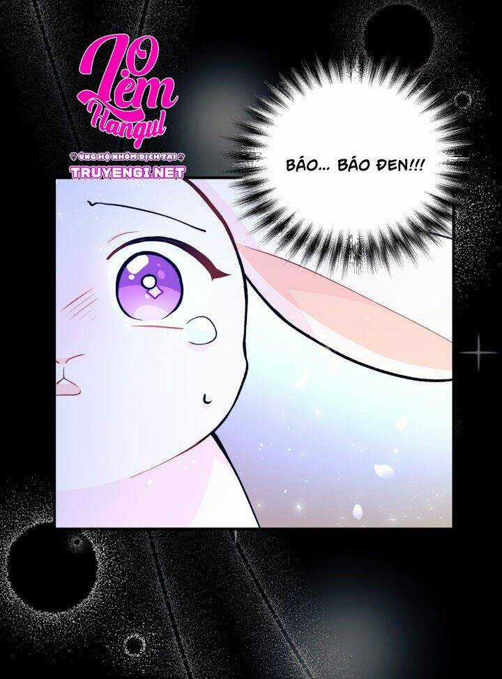 Mối Liên Kết Giữa Báo Đen Và Bé Thỏ Chapter 1 trang 37