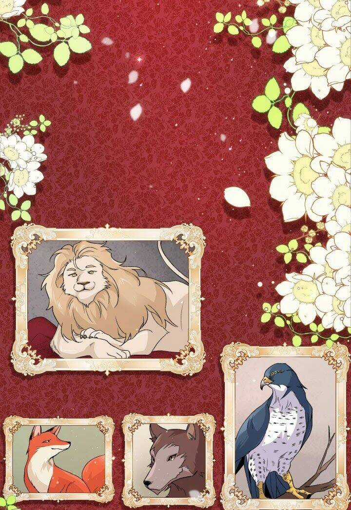 Mối Liên Kết Giữa Báo Đen Và Bé Thỏ Chapter 1 trang 47