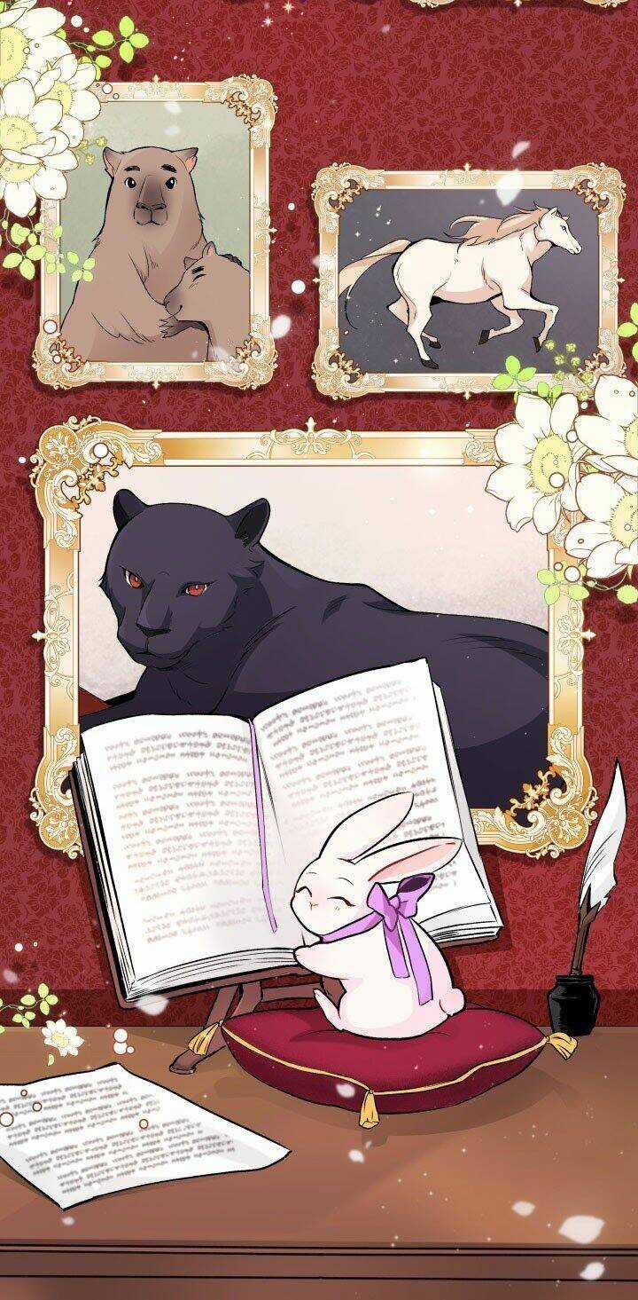 Mối Liên Kết Giữa Báo Đen Và Bé Thỏ Chapter 1 trang 48