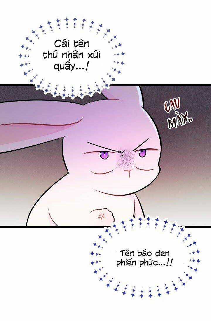 Mối Liên Kết Giữa Báo Đen Và Bé Thỏ Chapter 10 trang 11