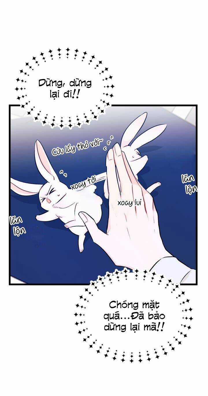 Mối Liên Kết Giữa Báo Đen Và Bé Thỏ Chapter 10 trang 19