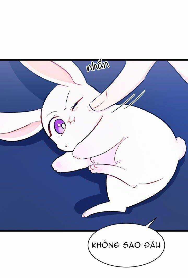 Mối Liên Kết Giữa Báo Đen Và Bé Thỏ Chapter 10 trang 20