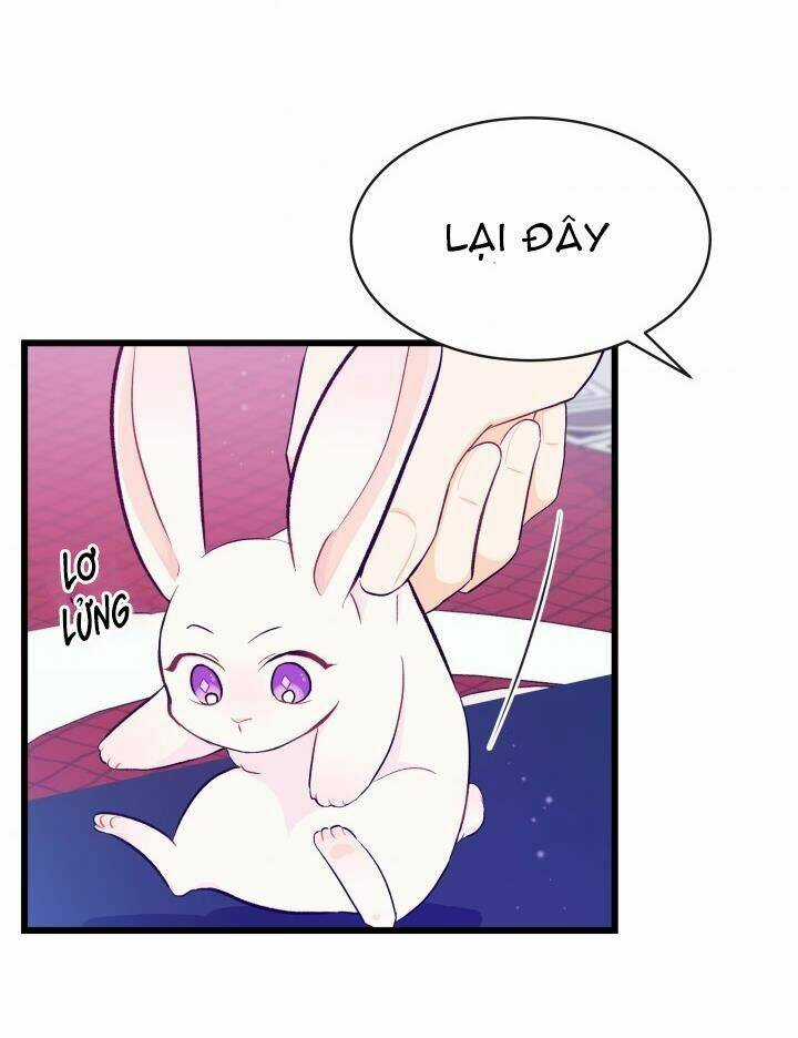 Mối Liên Kết Giữa Báo Đen Và Bé Thỏ Chapter 10 trang 29