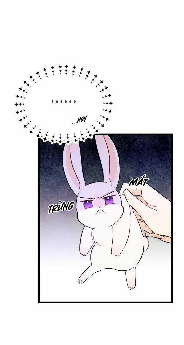 Mối Liên Kết Giữa Báo Đen Và Bé Thỏ Chapter 10 trang 33