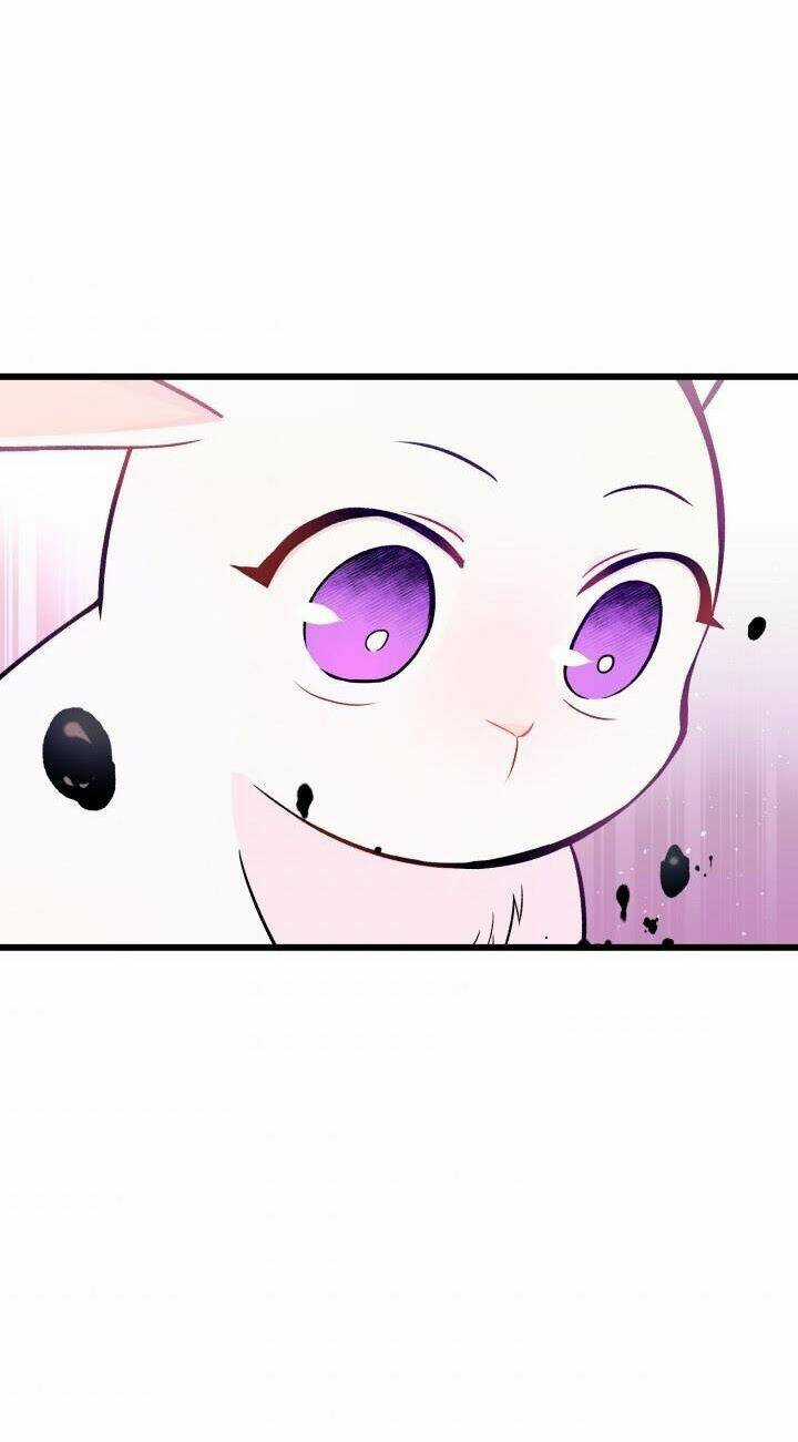 Mối Liên Kết Giữa Báo Đen Và Bé Thỏ Chapter 10 trang 37