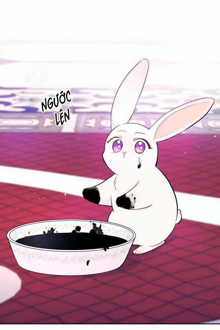 Mối Liên Kết Giữa Báo Đen Và Bé Thỏ Chapter 10 trang 40