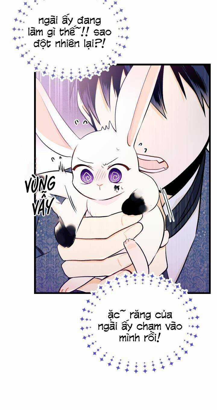 Mối Liên Kết Giữa Báo Đen Và Bé Thỏ Chapter 10 trang 57
