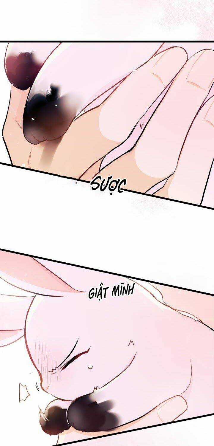 Mối Liên Kết Giữa Báo Đen Và Bé Thỏ Chapter 10 trang 60