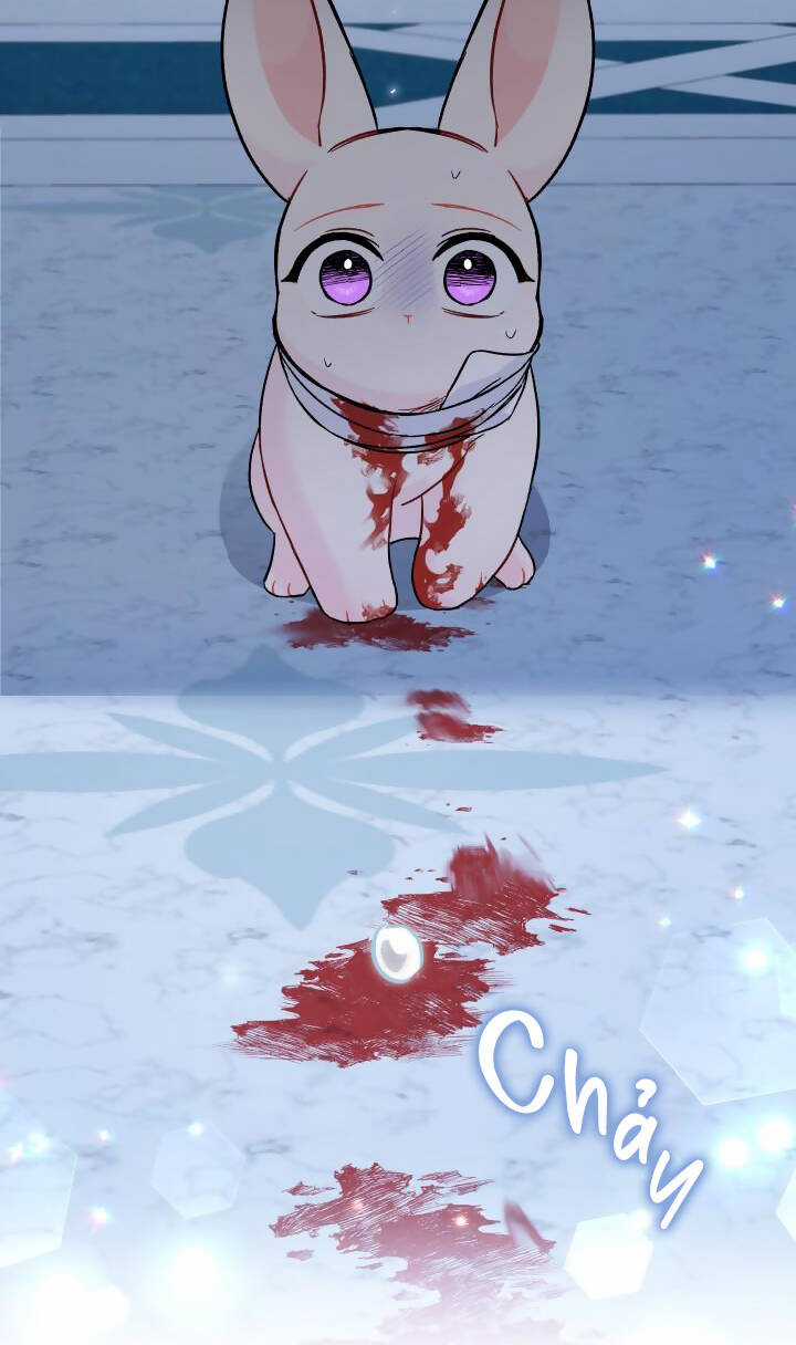 Mối Liên Kết Giữa Báo Đen Và Bé Thỏ Chapter 120.1 trang 34