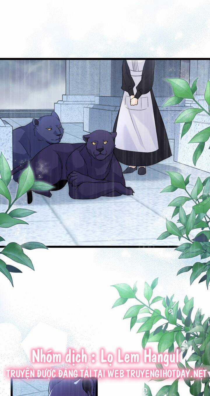 Mối Liên Kết Giữa Báo Đen Và Bé Thỏ Chapter 121 trang 28