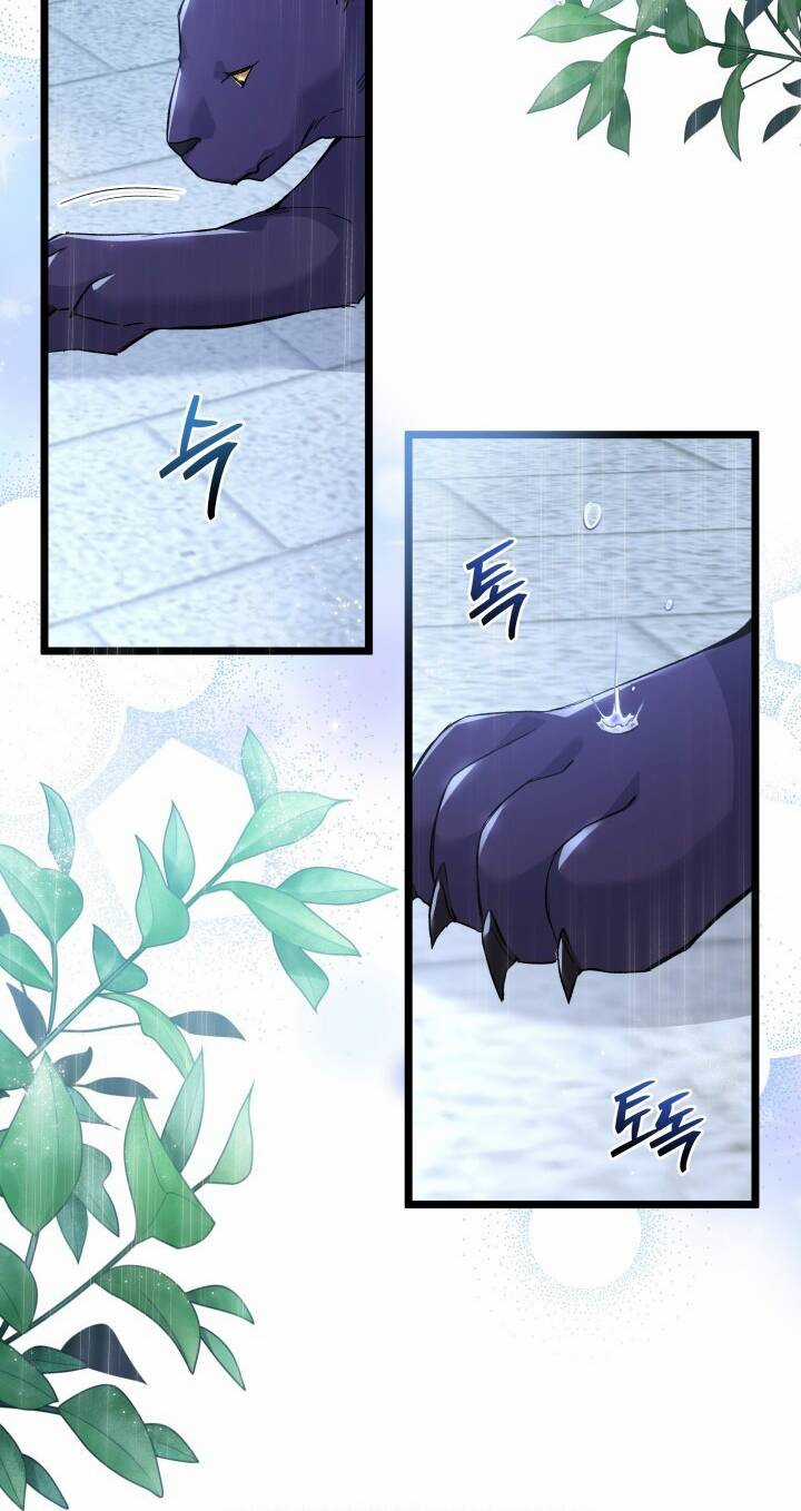 Mối Liên Kết Giữa Báo Đen Và Bé Thỏ Chapter 121 trang 29