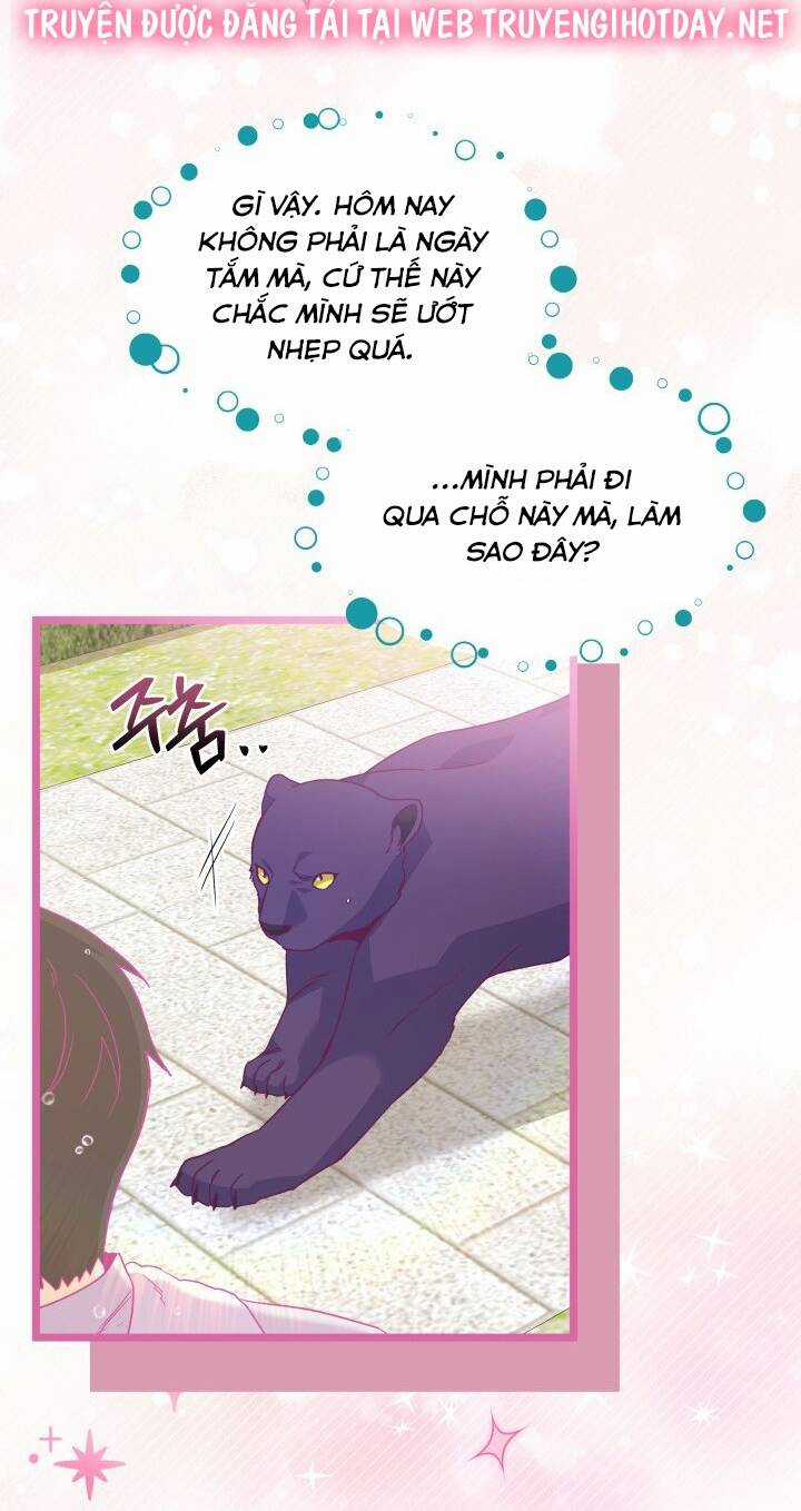 Mối Liên Kết Giữa Báo Đen Và Bé Thỏ Chapter 121 trang 33