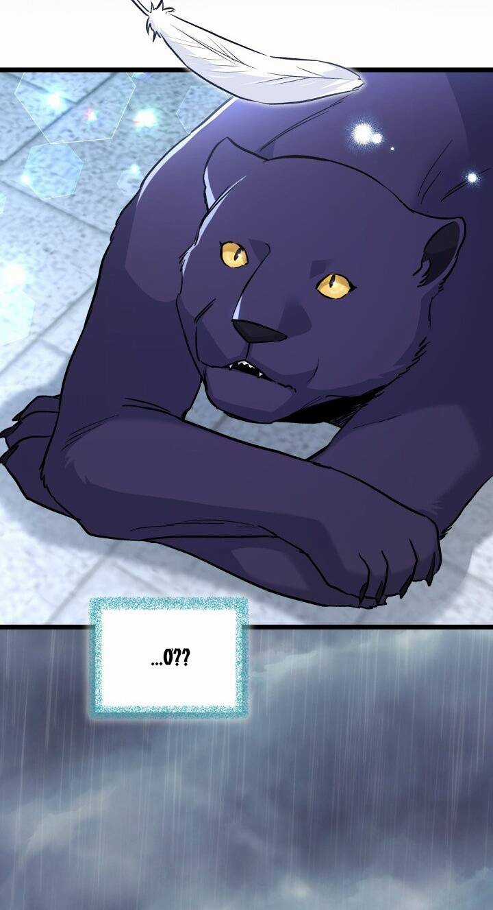 Mối Liên Kết Giữa Báo Đen Và Bé Thỏ Chapter 121 trang 46