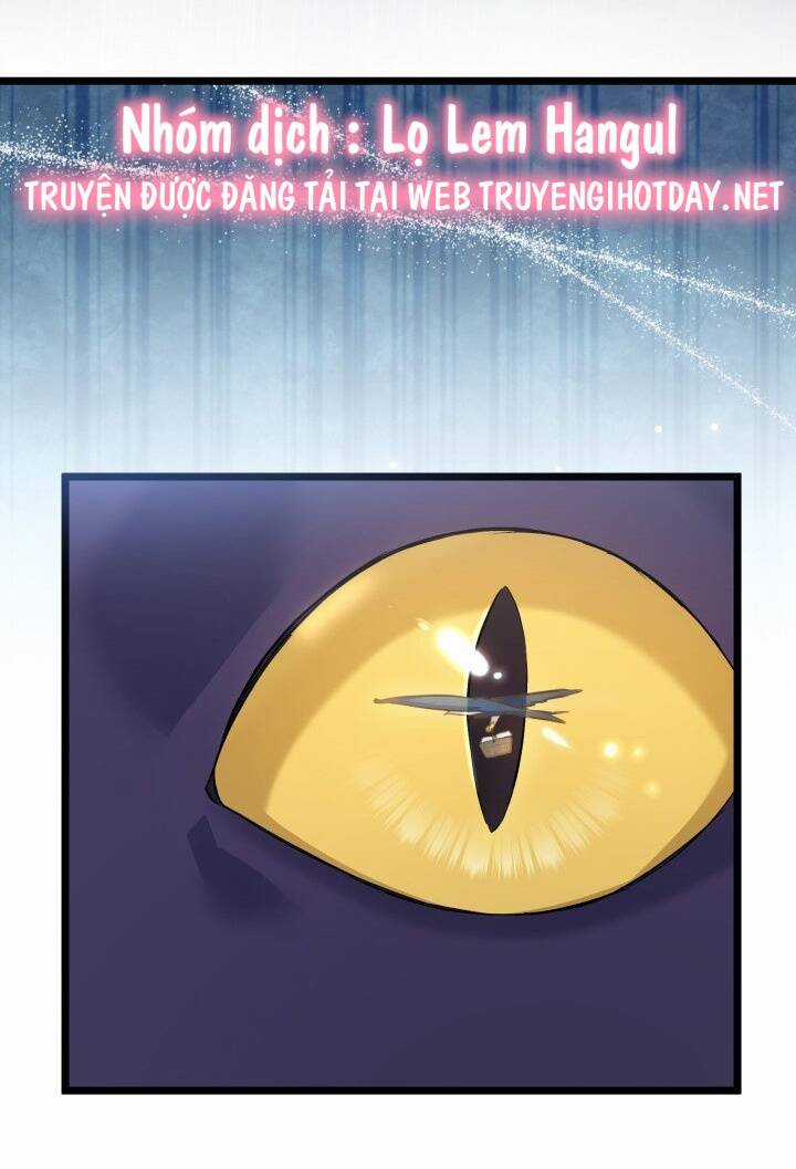 Mối Liên Kết Giữa Báo Đen Và Bé Thỏ Chapter 121 trang 49