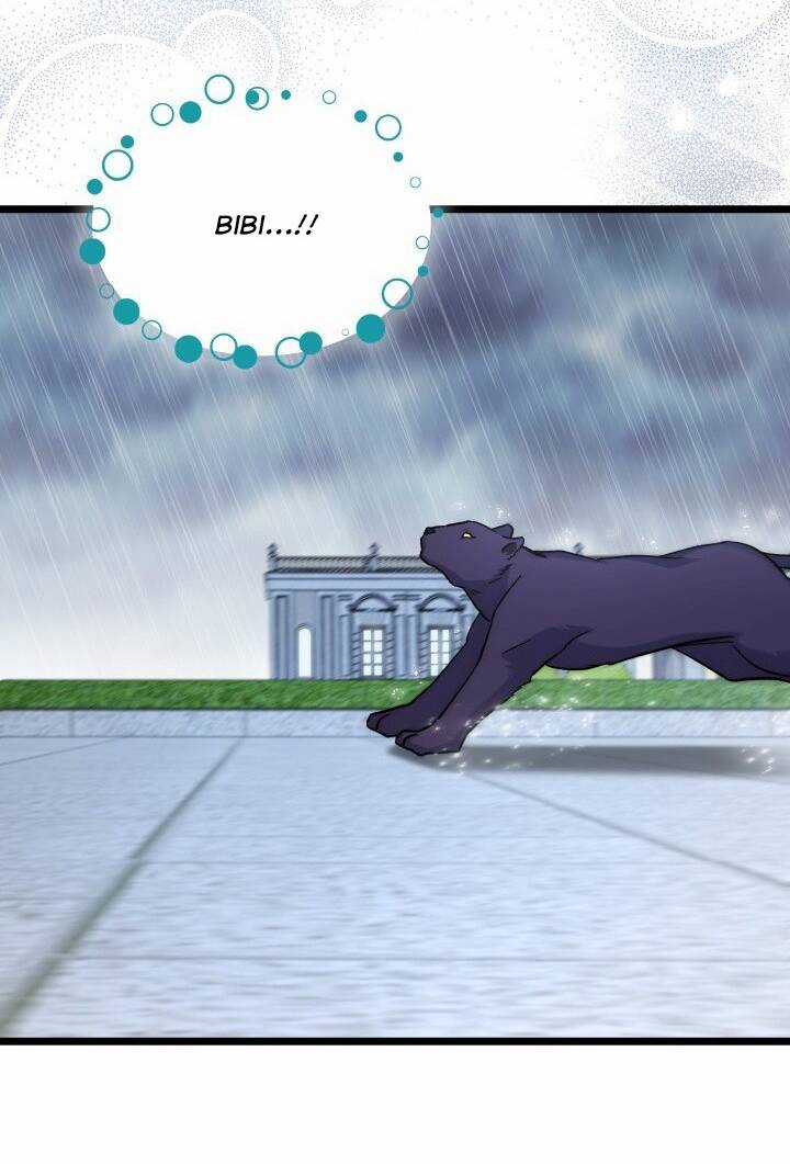 Mối Liên Kết Giữa Báo Đen Và Bé Thỏ Chapter 121 trang 57