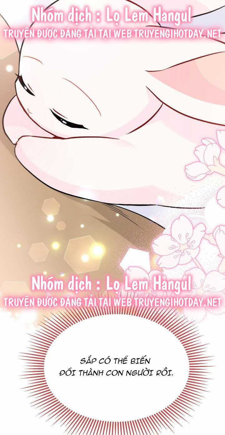 Mối Liên Kết Giữa Báo Đen Và Bé Thỏ Chapter 122 trang 49
