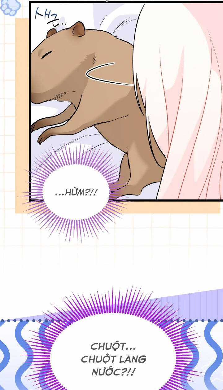 Mối Liên Kết Giữa Báo Đen Và Bé Thỏ Chapter 123 trang 26