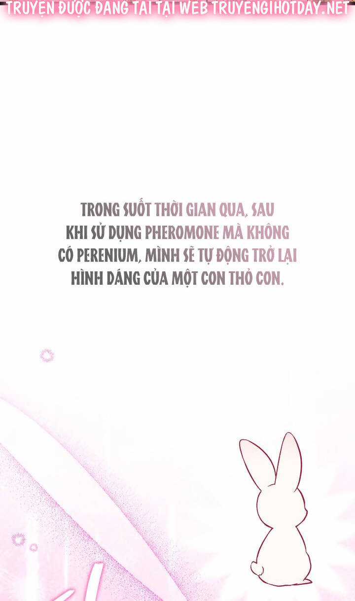 Mối Liên Kết Giữa Báo Đen Và Bé Thỏ Chapter 123 trang 37