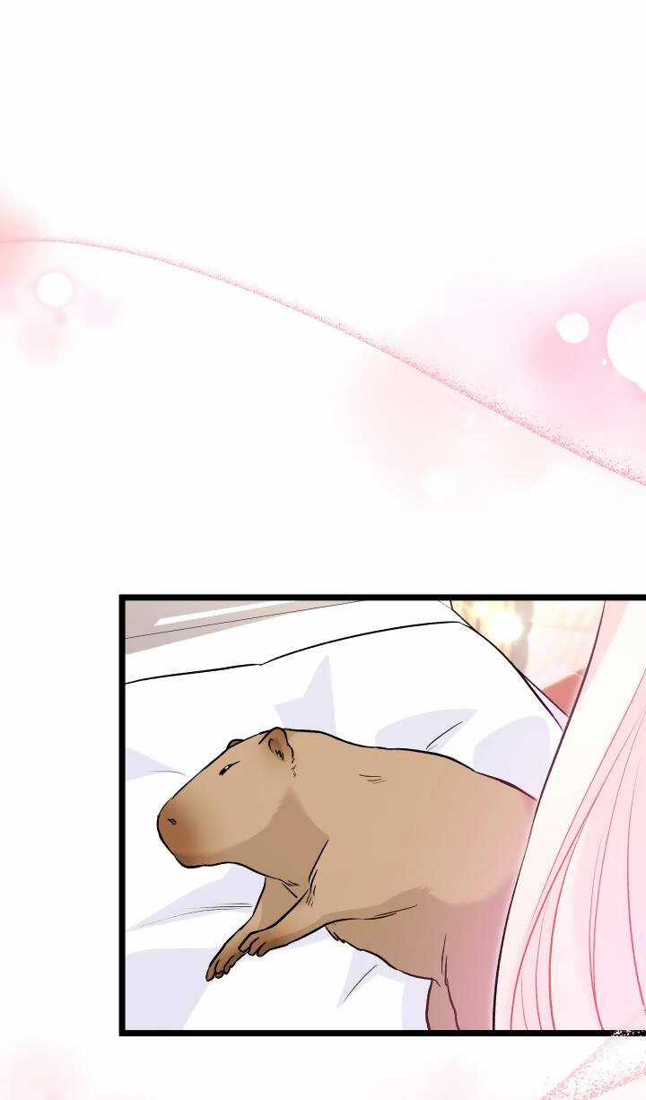 Mối Liên Kết Giữa Báo Đen Và Bé Thỏ Chapter 123 trang 40