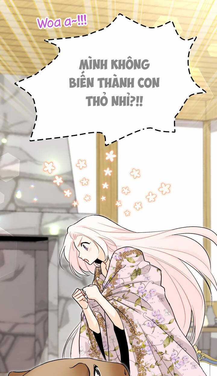 Mối Liên Kết Giữa Báo Đen Và Bé Thỏ Chapter 123 trang 42