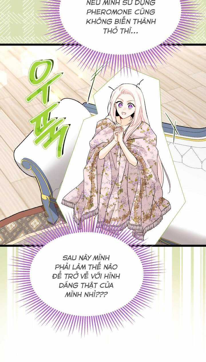 Mối Liên Kết Giữa Báo Đen Và Bé Thỏ Chapter 123 trang 47