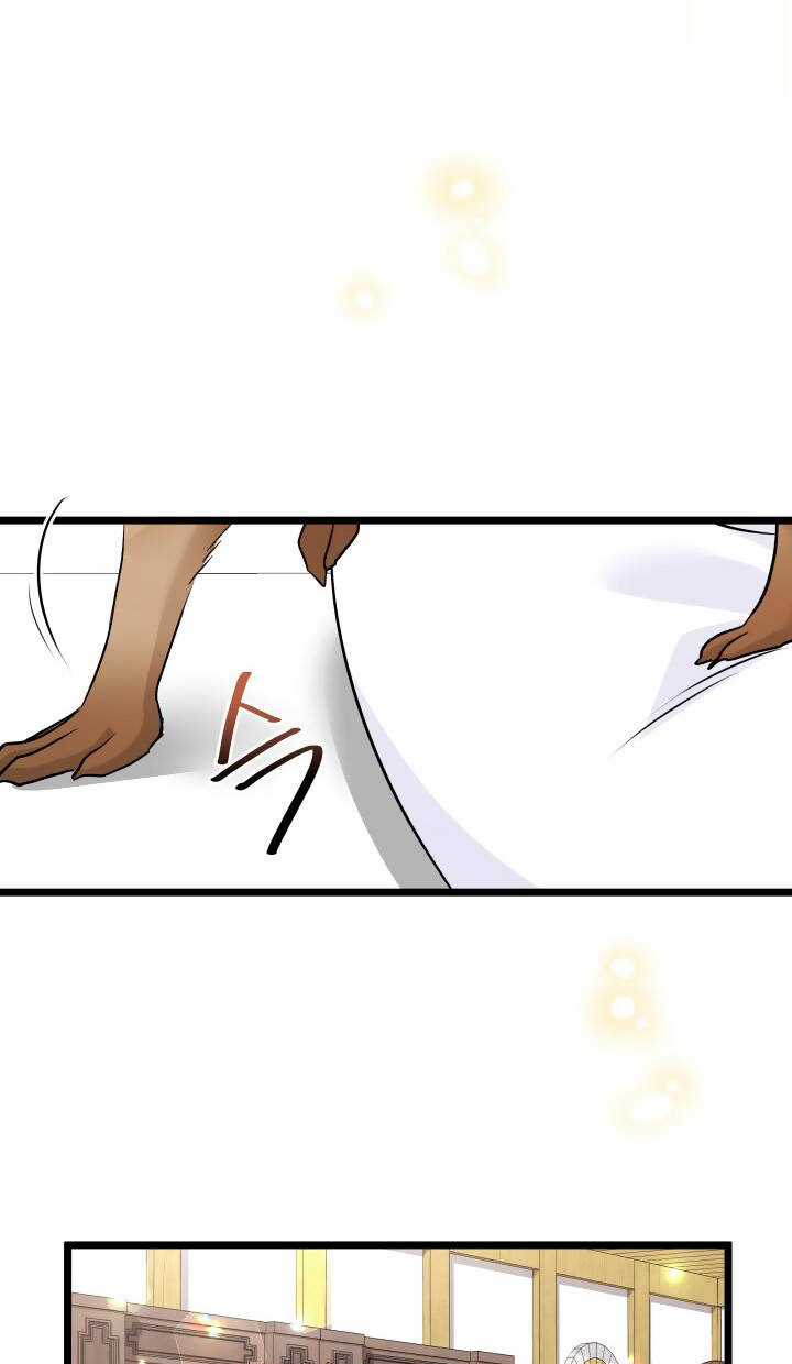 Mối Liên Kết Giữa Báo Đen Và Bé Thỏ Chapter 123 trang 48