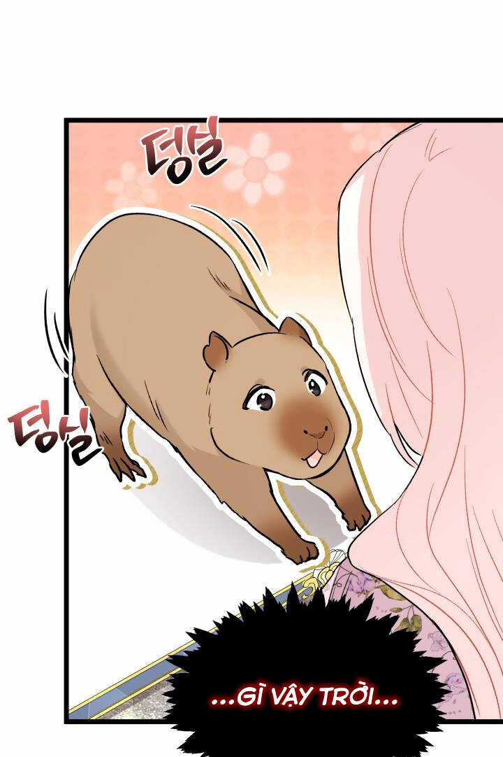 Mối Liên Kết Giữa Báo Đen Và Bé Thỏ Chapter 123 trang 52