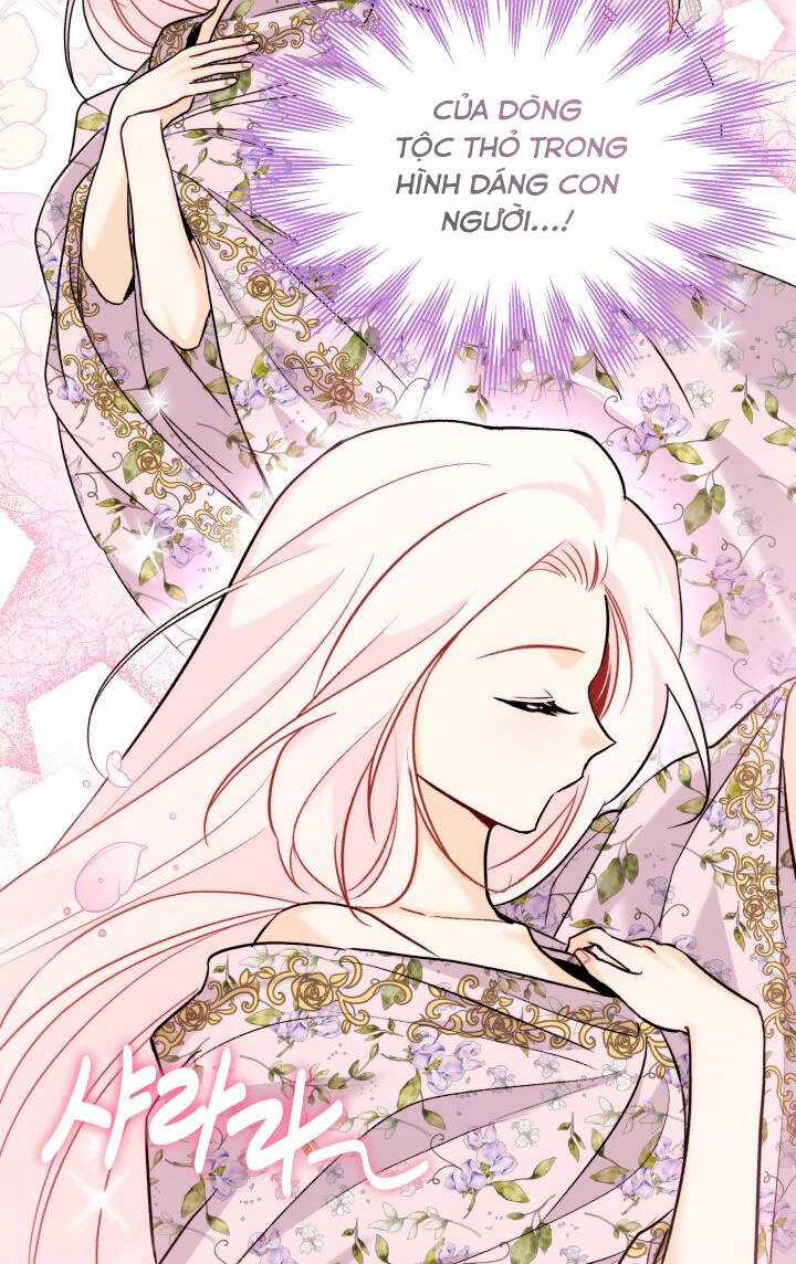 Mối Liên Kết Giữa Báo Đen Và Bé Thỏ Chapter 123 trang 60