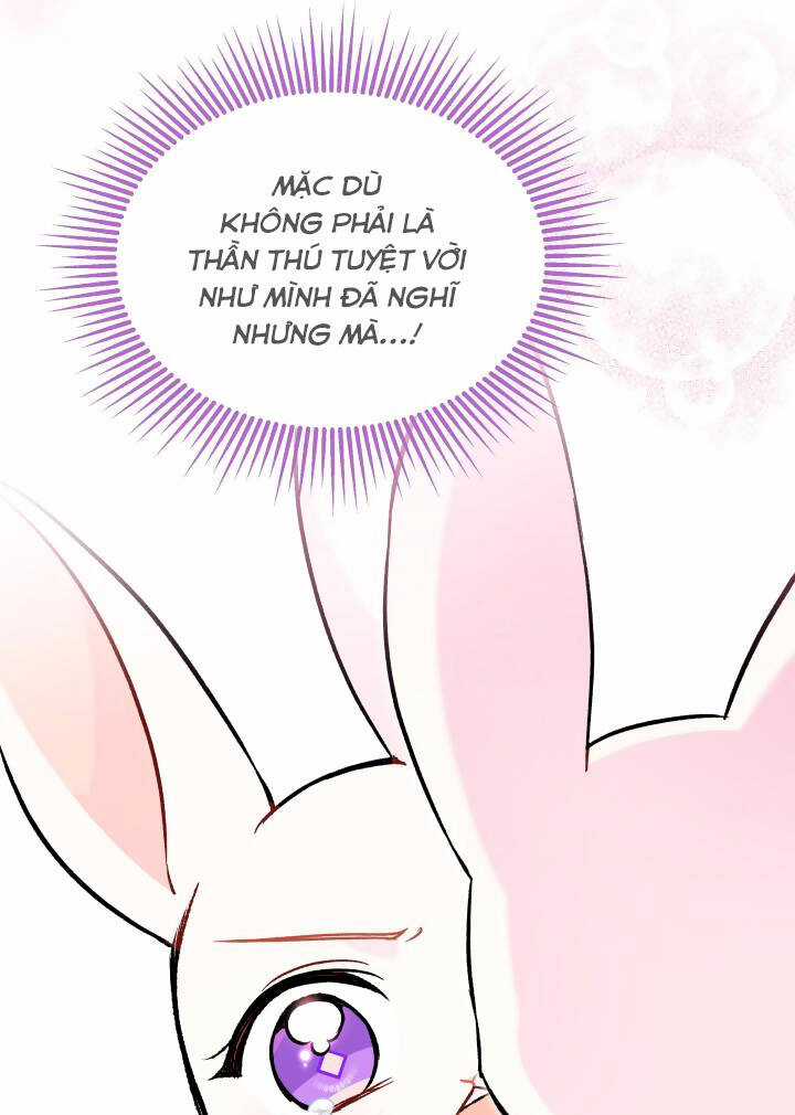 Mối Liên Kết Giữa Báo Đen Và Bé Thỏ Chapter 123 trang 70