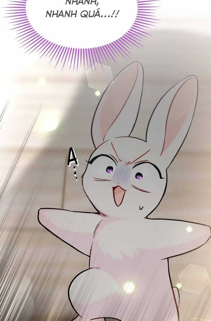 Mối Liên Kết Giữa Báo Đen Và Bé Thỏ Chapter 123 trang 79